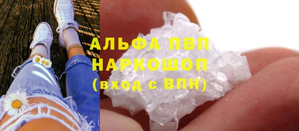 PSILOCYBIN Богородицк