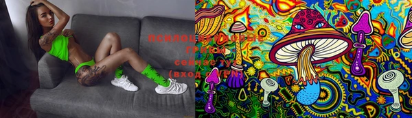 PSILOCYBIN Богородицк
