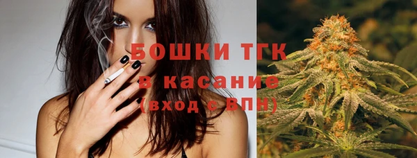 PSILOCYBIN Богородицк