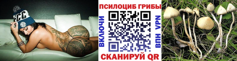 Галлюциногенные грибы Cubensis  Палласовка 